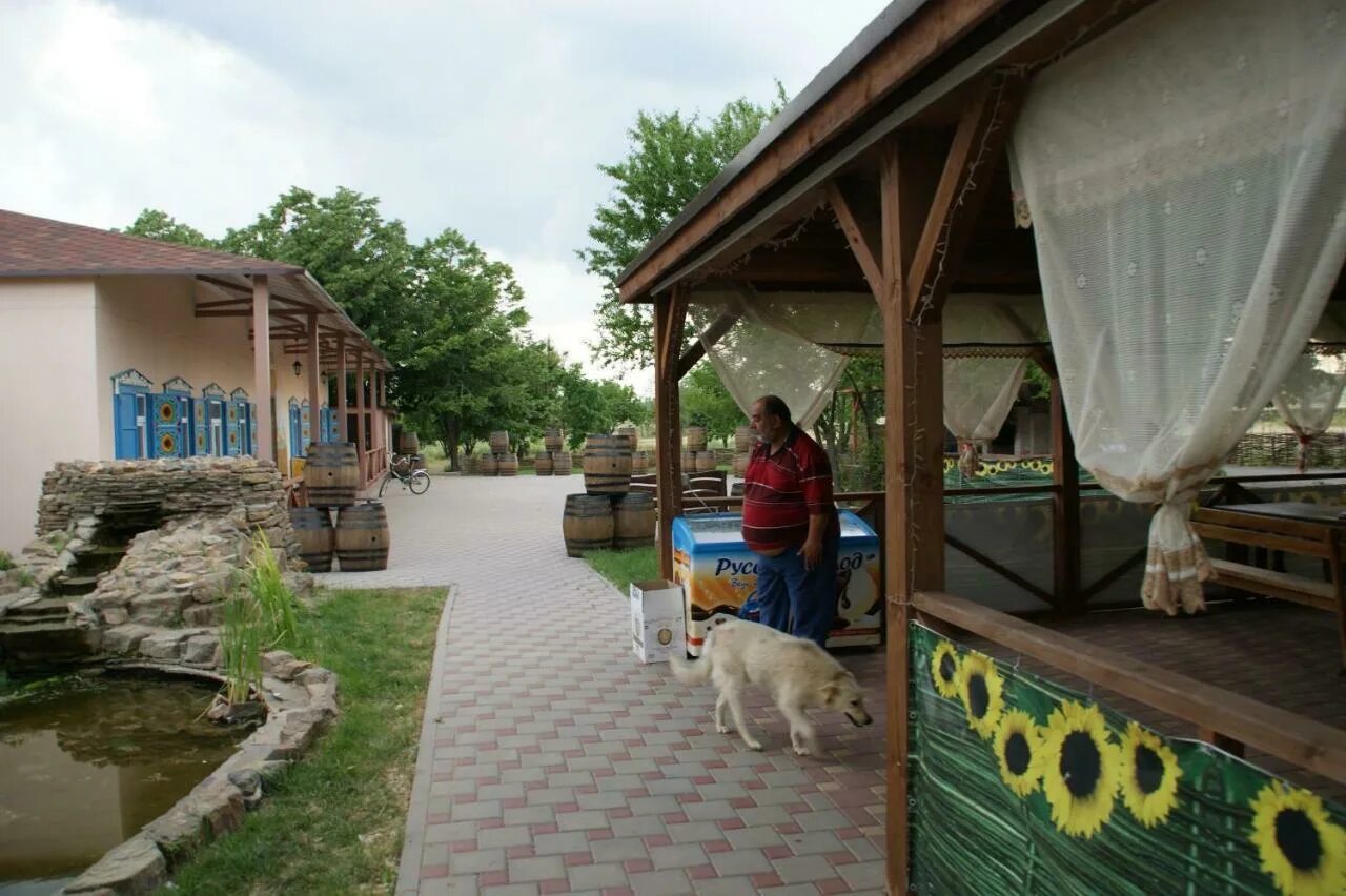Станица цимлянская. Саркел база отдыха. турбаза саркел цимлянск. станица цимлянская база отдыха саркел. база отдыха саркел цимлянский район.