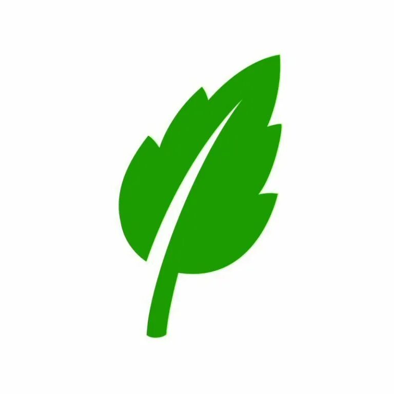 Leaves icon