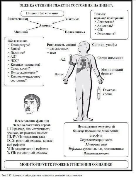 Оценка статуса пациента. Оценка тяжести состояния пациента. Степень оценки состояния пациента. Степени тяжести состояния больного. Оценка степени тяжести пациента.