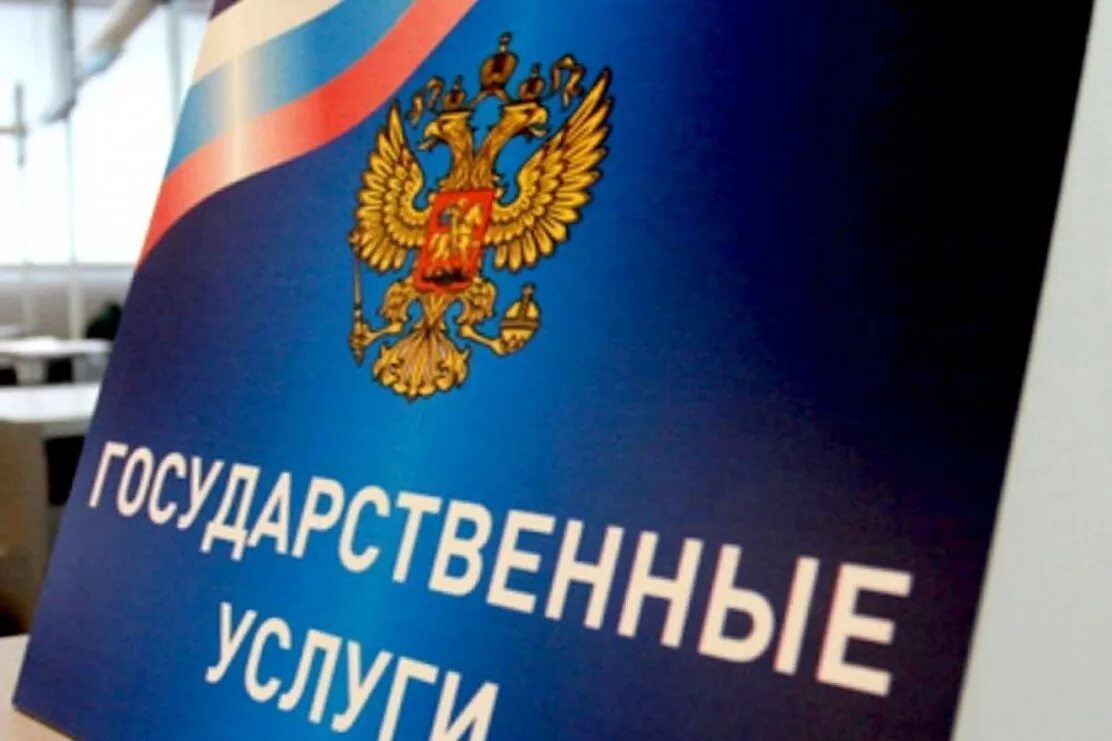 А также предоставляем возможность