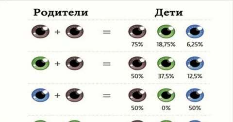 Может ли родиться кареглазый у голубоглазых