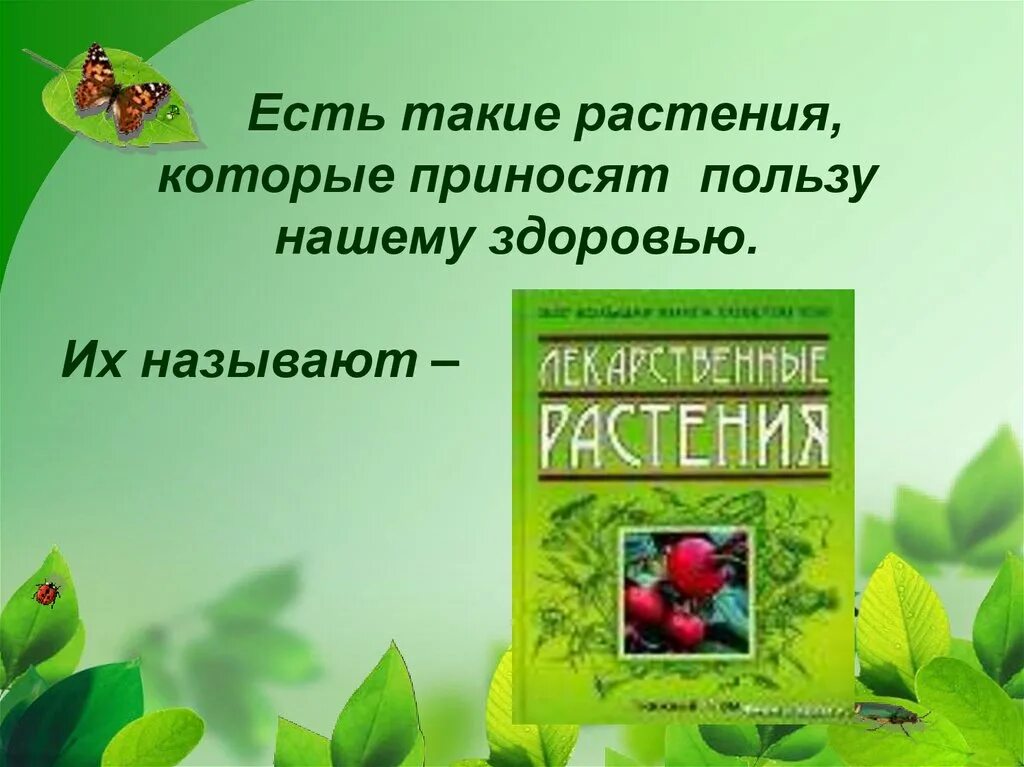 Выберите значение растений в природе. Растения в жизни человека презентация. Растения в жизни животных 1 класс. Значение растений в природе и жизни человека. Значения растений презентация.