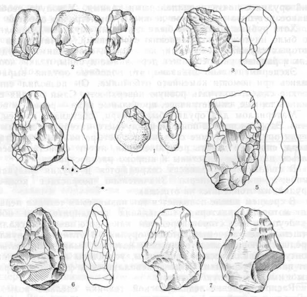 сунгирь палеолитическая стоянка. статуэтка венеры палеолита. палеолитическая венера зарайск. стоянка сунгирь артефакты. костяные орудия верхнего палеолита.
