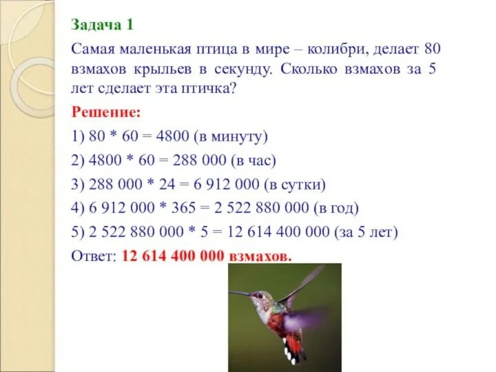 Задачи про птиц. Колибри сколько взмахов в секунду делает крыльями. Сколько взмахов в секунду делает Колибри. Колибри птица взмахов в секунду. Сколько взмахов в секунду делает