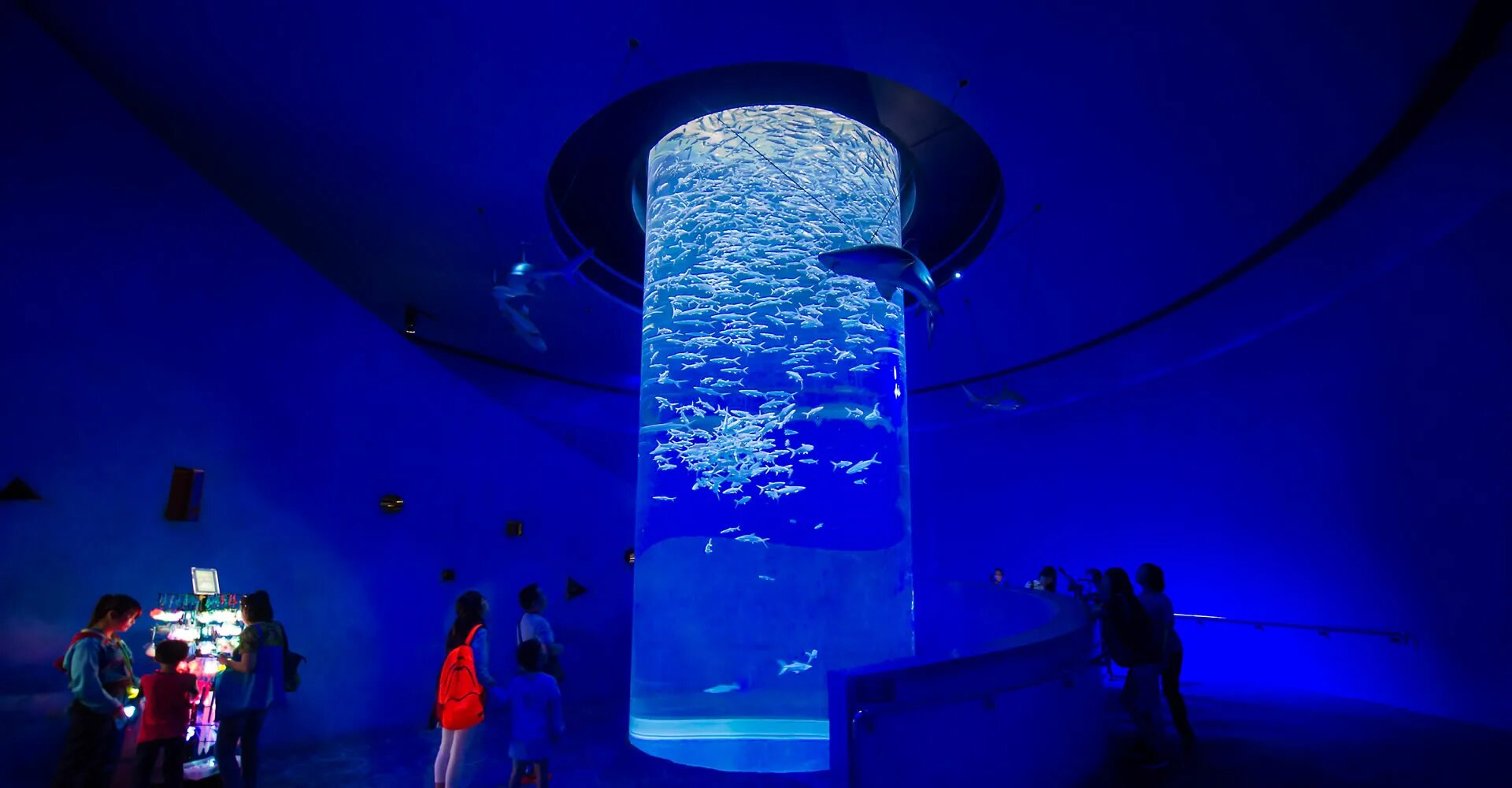 Городской аквариум (osaka aquarium kaiyukan) япония. Стамбульский аквариум флория. Ул марата 86 санкт-петербург океанариум на карте. Океанариум. Океанариум спб.