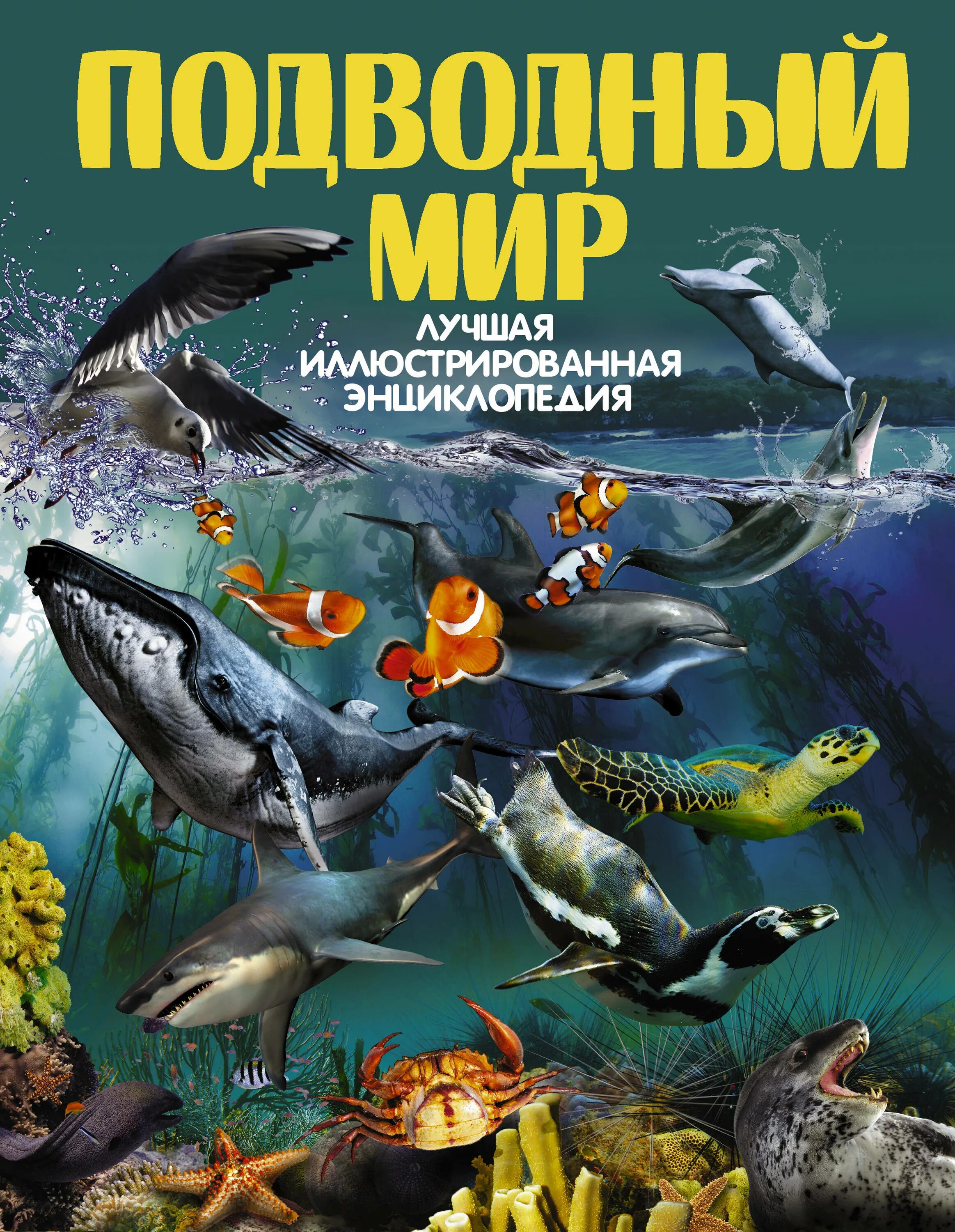 Книги про рыб. Подводный мир энциклопедия для детей. Книга морские обитатели. Книга подводный мир. Книжка подводный мир.