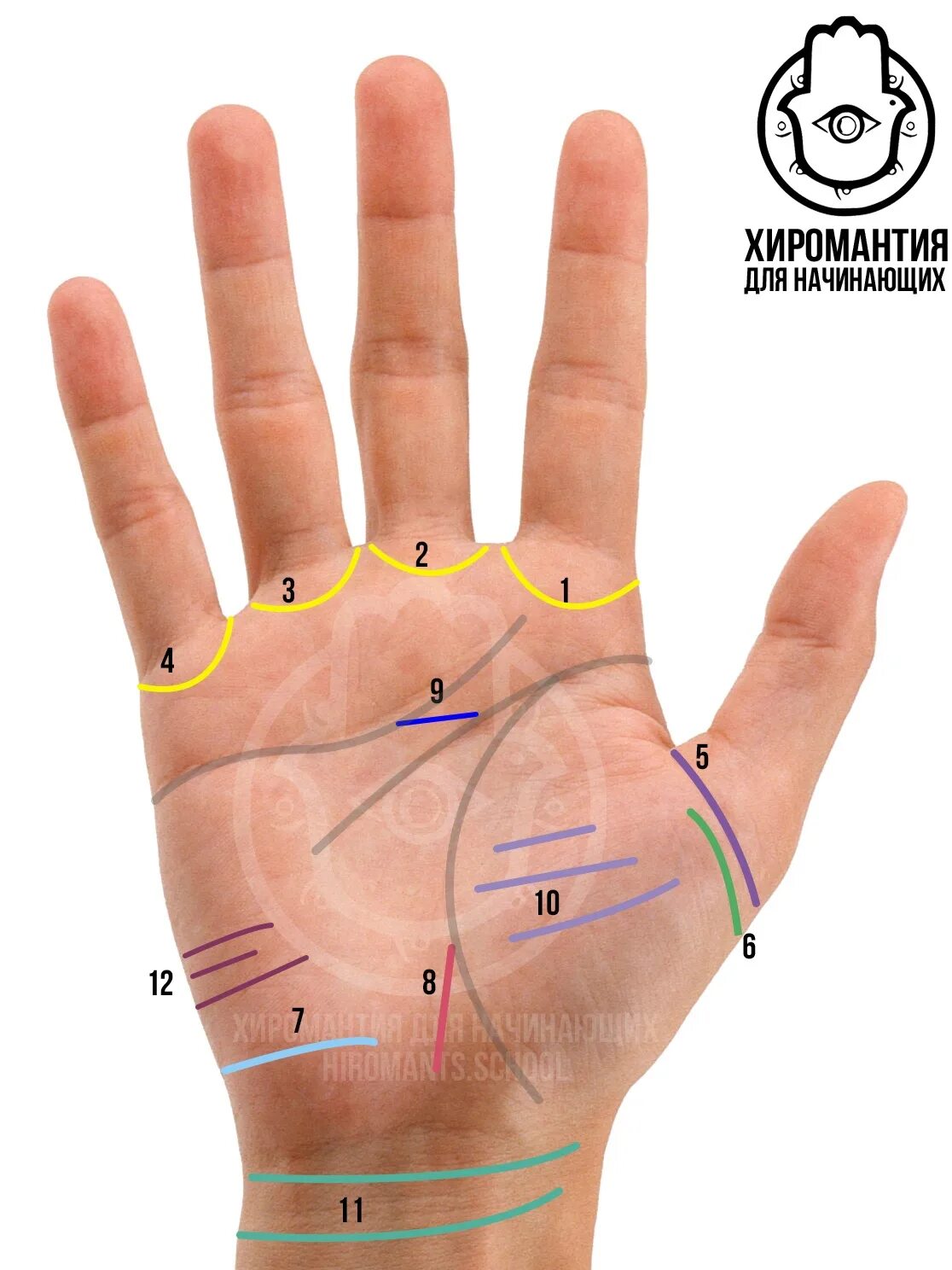 Кресты на руке хиромантия. Хиромантия мистический крест на ладони. Хиромантия денежный треугольник. Хиромантия линия пояс Венеры. Коррекционная хиромантия денежный треугольник.