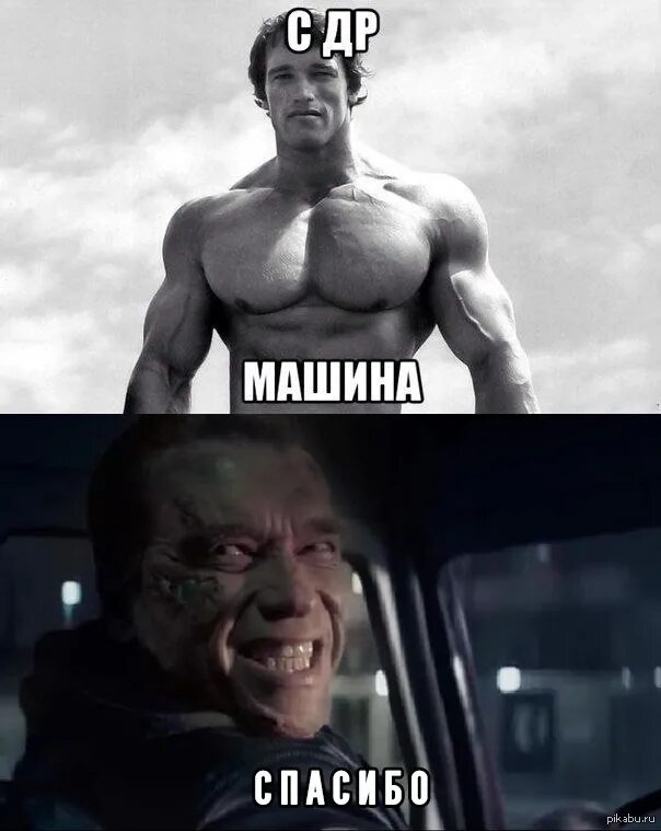 дамы и господа мем шварценеггер оригинал