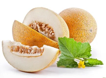 Melon fruit