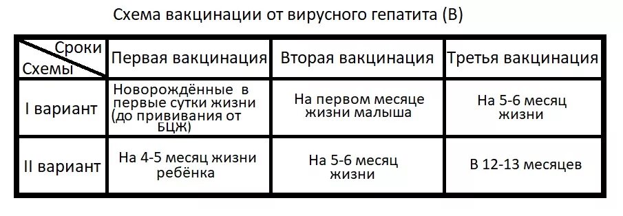 Гепатит б вакцинация схема. Гепатит б вакцинация схема детям. Схема вакцинации против гепатита б. Гепатит схема вакцинации грудничков. Прививка гепатит б побочные эффекты