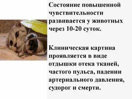 Повышенное состояние