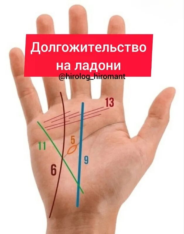 Линии на ладони расшифровка. Хиромантия линии на ладони. Хиромант описание. Борис акимов хиромант. Коррекционная хиромантия нарисуй свою судьбу борис акимов книга.
