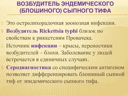 Сыпной тиф клещи