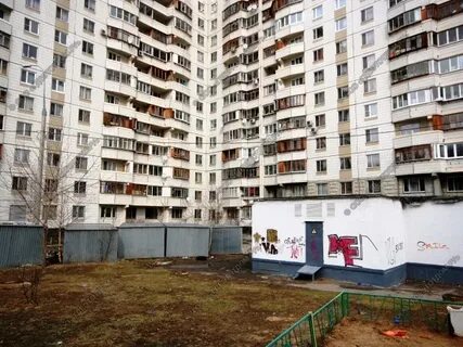 Барышиха 49
