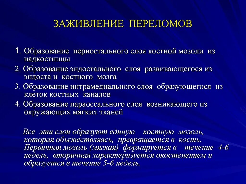 Трещина заживает. Этапы заживления перелома. Периостальной костной мозоли. Фазы заживления перелома. Формирование костной мозоли.