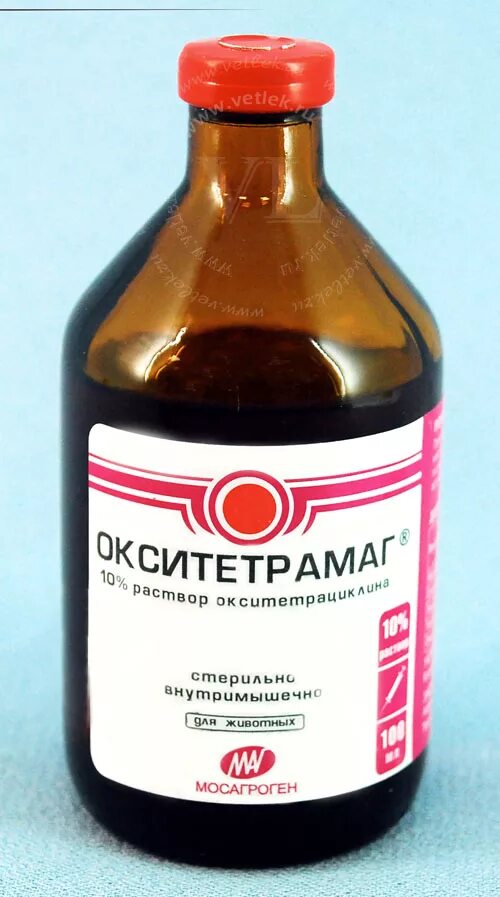 От поноса телятам народные. Окситетрамаг 100 мл. антибиотики для свиней. лекарство от поноса для крс. препараты для телят от пневмонии.