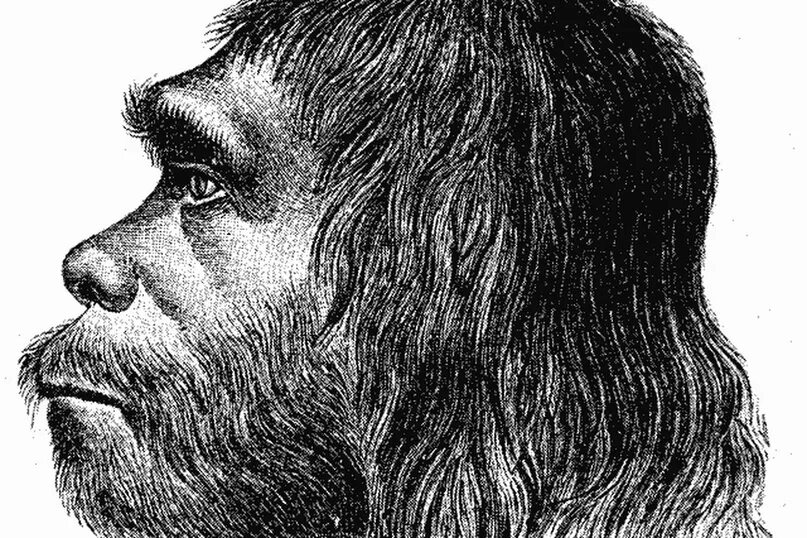 Первобытные люди. Древний человек в профиль. Неандерталец в профиль. Первобытный человек в профиль.