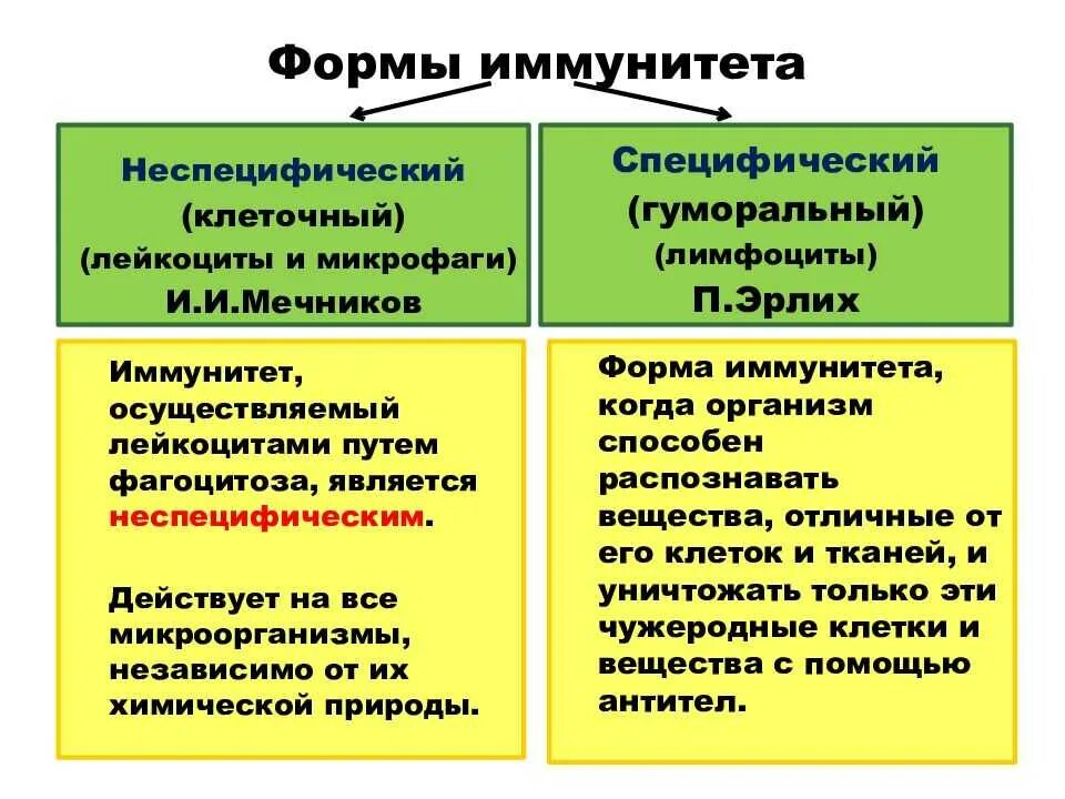 Компонент иммунного ответа. Специфические и неспецифические механизмы иммунитета. Неспецифический клеточный и гуморальный иммунитет. Специфические компоненты иммунного ответа. Неспецифический клеточный иммунитет.