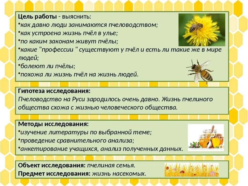 Исследование конечностей домашней пчелы какая биологическая наука. Цель и задачи пчеловодства. Цель проекта Пчеловодство. Исследовательская работа про пчел. Проект на тему пчелы.