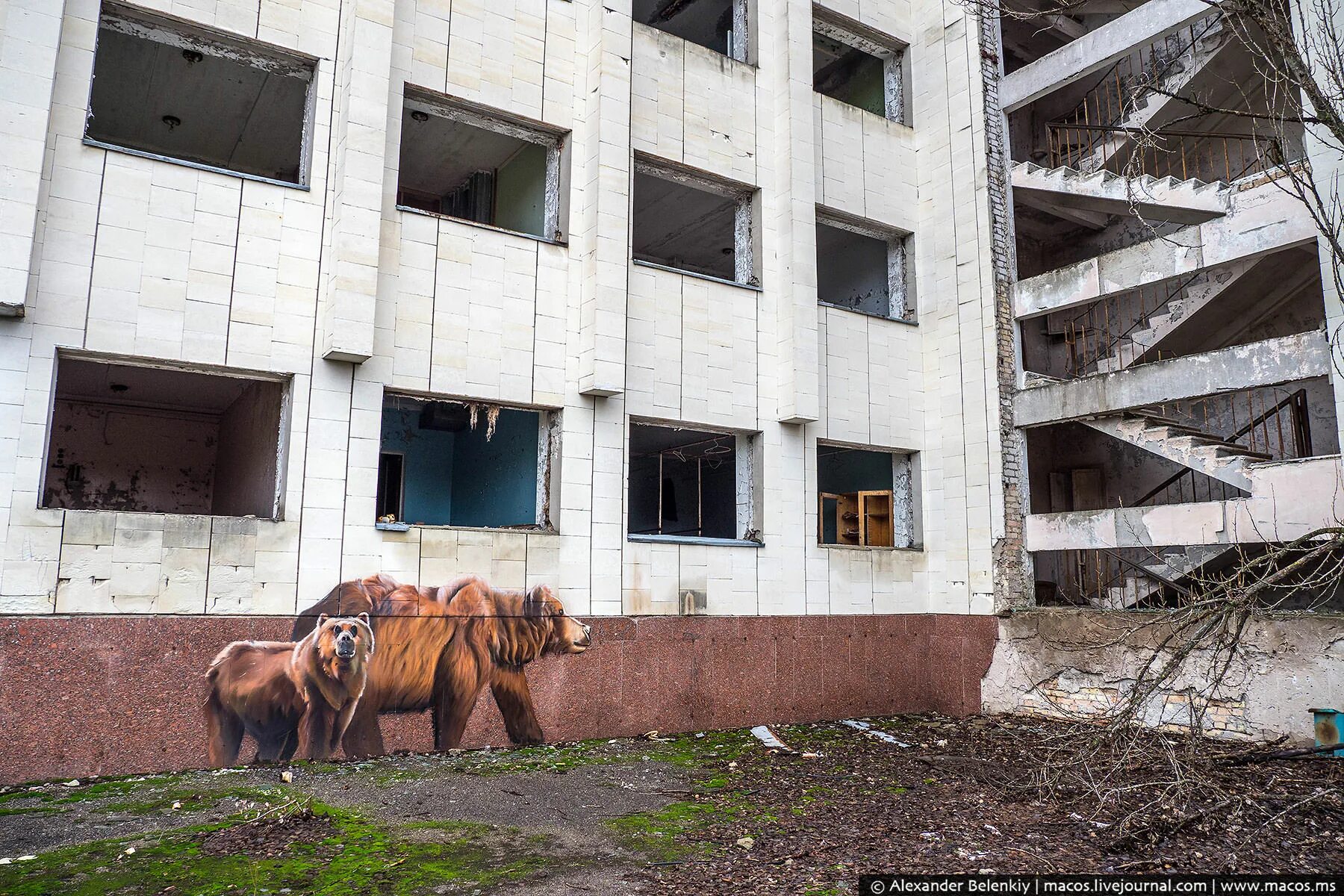 Когда можно жить в чернобыле. Чернобыль город Припять сейчас. Чернобыль город Припять 2021. Город Чернобыль сейчас.