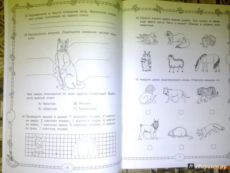 Комплексные работы 1 класс узорова. Комплексные задания для 1 класса. Комплексные работы 1 класс Узорова Нефедова. Комплексная работа 1 класс Узорова задания. Страшный зверь комплексная работа.