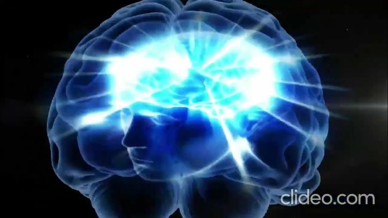 The brains video