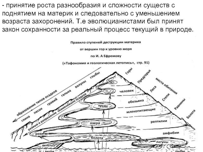 Многообразие сложности. Тафономия и Геологическая летопись. Тафономия. Тафономия стадии захоронения.