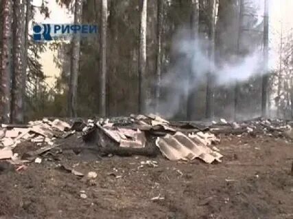 Погода в менделеево на пять дней