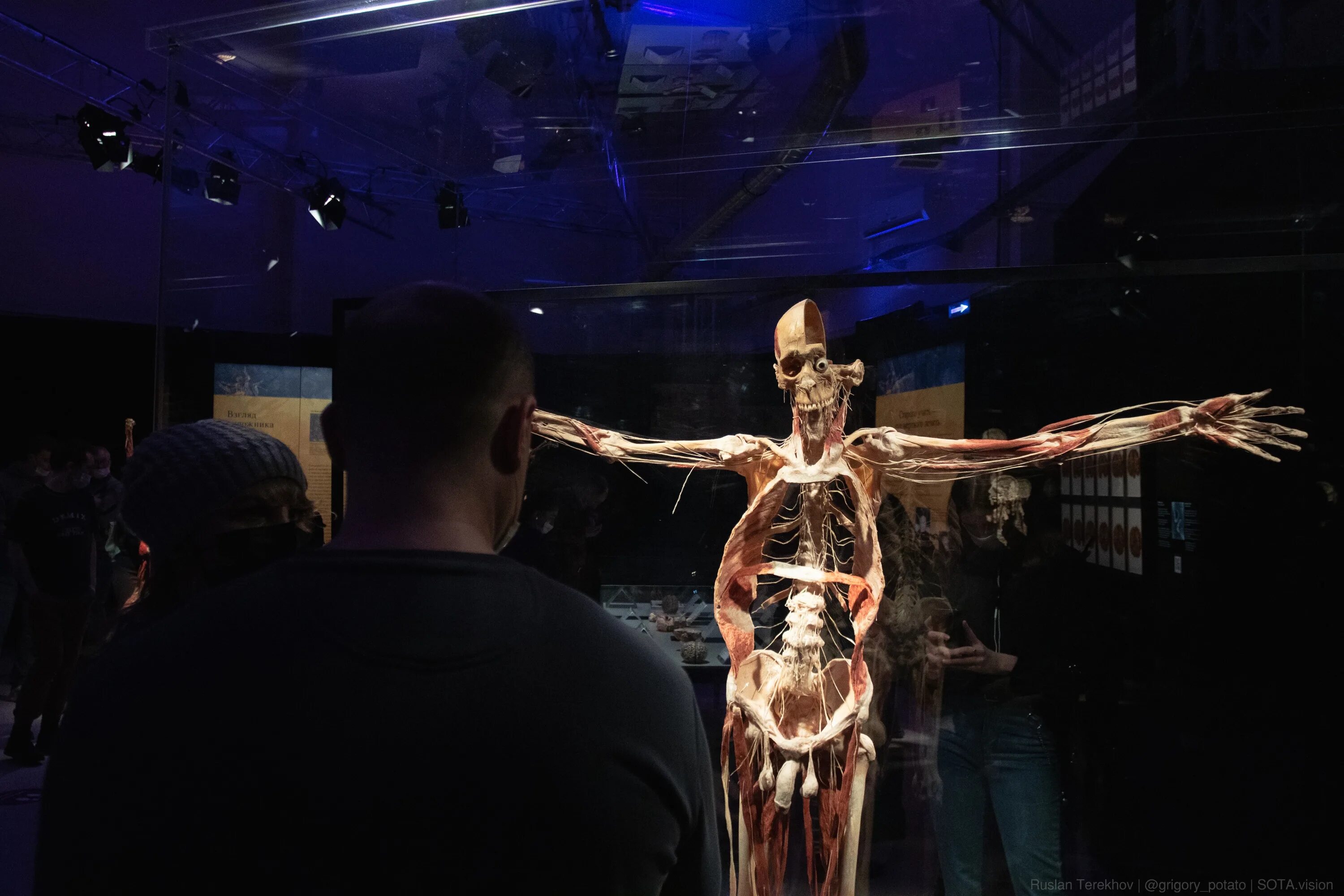 Выставочная часть. Музей пластинации Гюнтера фон Хагенса. ВДНХ анатомическая выставка Хагенса. Гюнтер фон Хагенс мир тела ВДНХ.