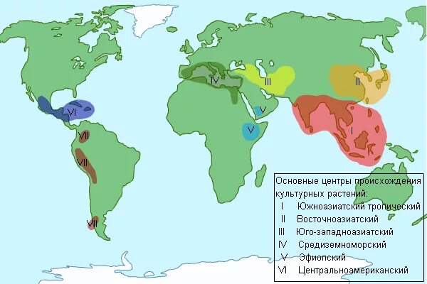 Сколько центров происхождения культурных. Вавилов центры происхождения культурных растений карта. Центры культурных растений по Вавилову на карте. Карта Вавилова центры происхождения культурных растений. Юго Восточноазиатский центр происхождения культурных растений.