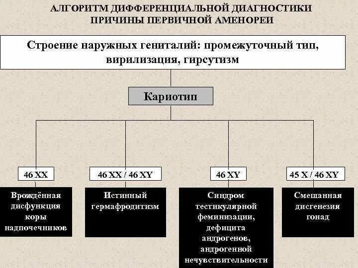 Половые органы промежуточного типа. Гирсутизм дифференциальная диагностика. Вирилизация наружных половых органов. Наружные половые органы промежуточного типа.