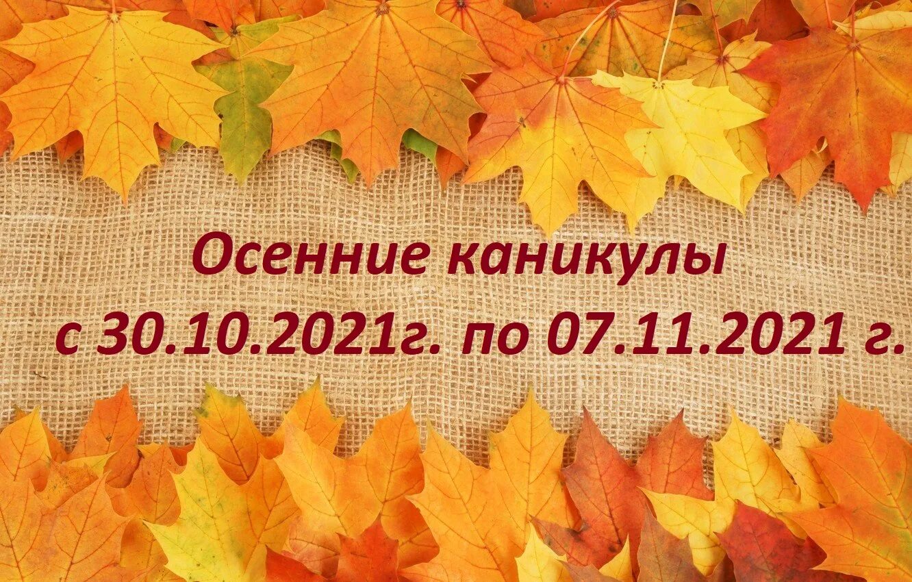 Осенние каникулы 2021. Осенние цитаты. Цитаты про осень. Осень цитаты красивые.