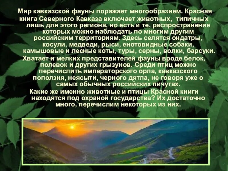 Поражает своим разнообразием. Мир Кавказу текст. Красная книга Северного Кавказа рисунки.