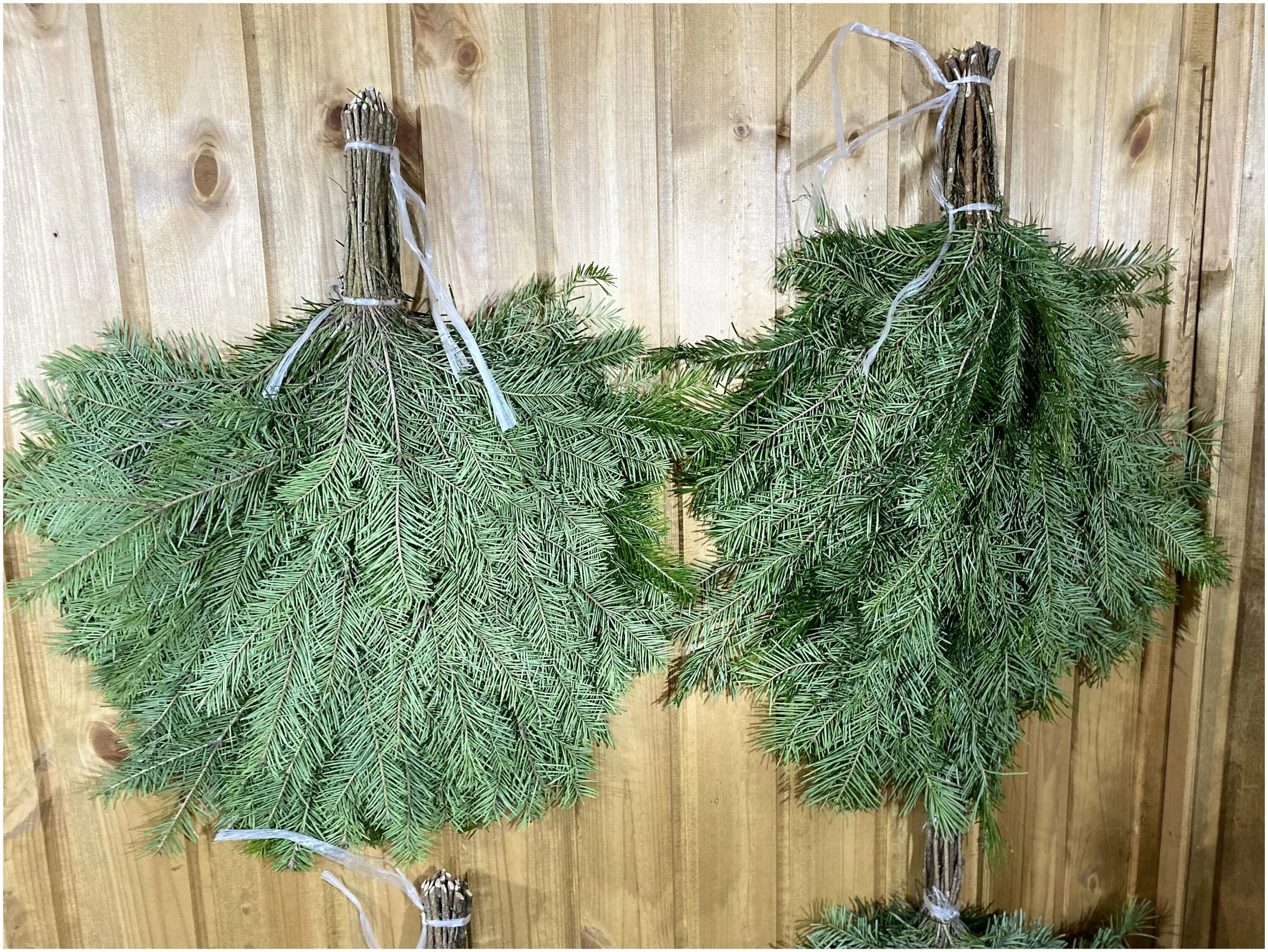 Как запаривать пихтовый веник. Можжевельниковый веник. Пихтовый веник. Пихта веник. Как заваривать пихтовый вентк.