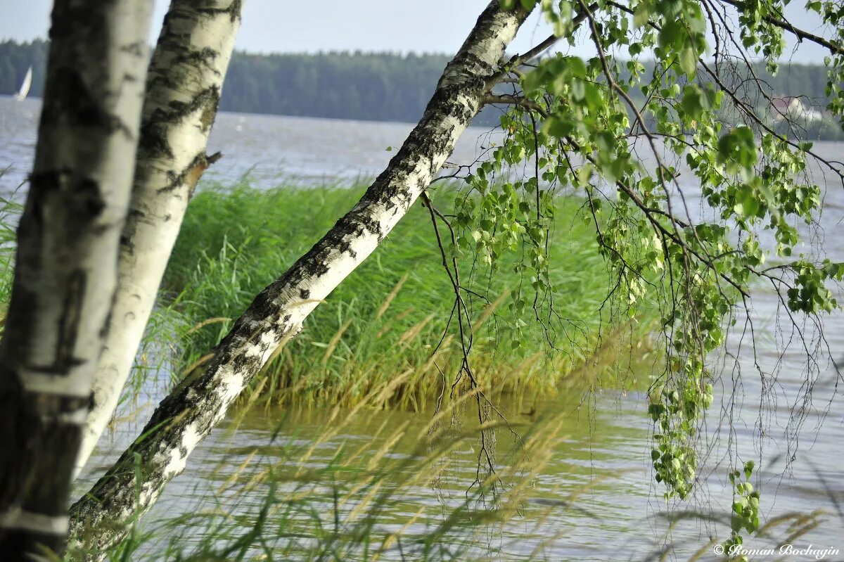 Русь матушка видео. Россия Матушка. Россия Матушка Русь. Пой Россия Матушка. Родина Матушка Русь.