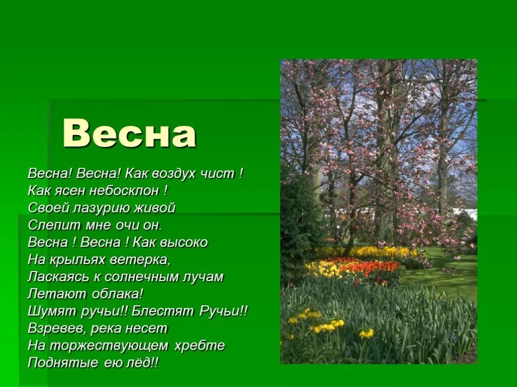 Краткий рассказ о весне. Презентация на тему ве. Описание весны. Презентация на тему вес.