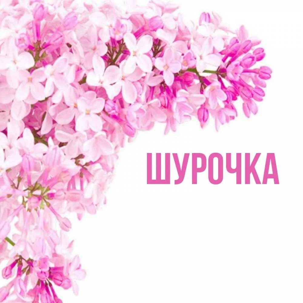 Шурочка лучшее. Шурочка с днем рождения. Шурочка с юбилеем. Шурочка с днем рождения открытка. С юбилеем Шурочка открытки.