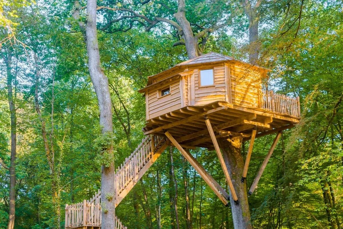 деревянный домик на дереве. лесной домик на дереве своими руками. Rumah pohon treehouse отель. самый большой домик на дереве в мире. включить видео домик на дереве.
