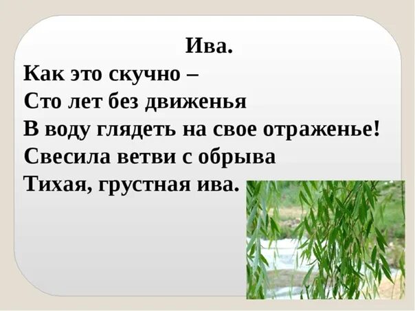 Грустные ивы. Песня грустные ивы. Текст песни грустные ивы. Ива песня текст.