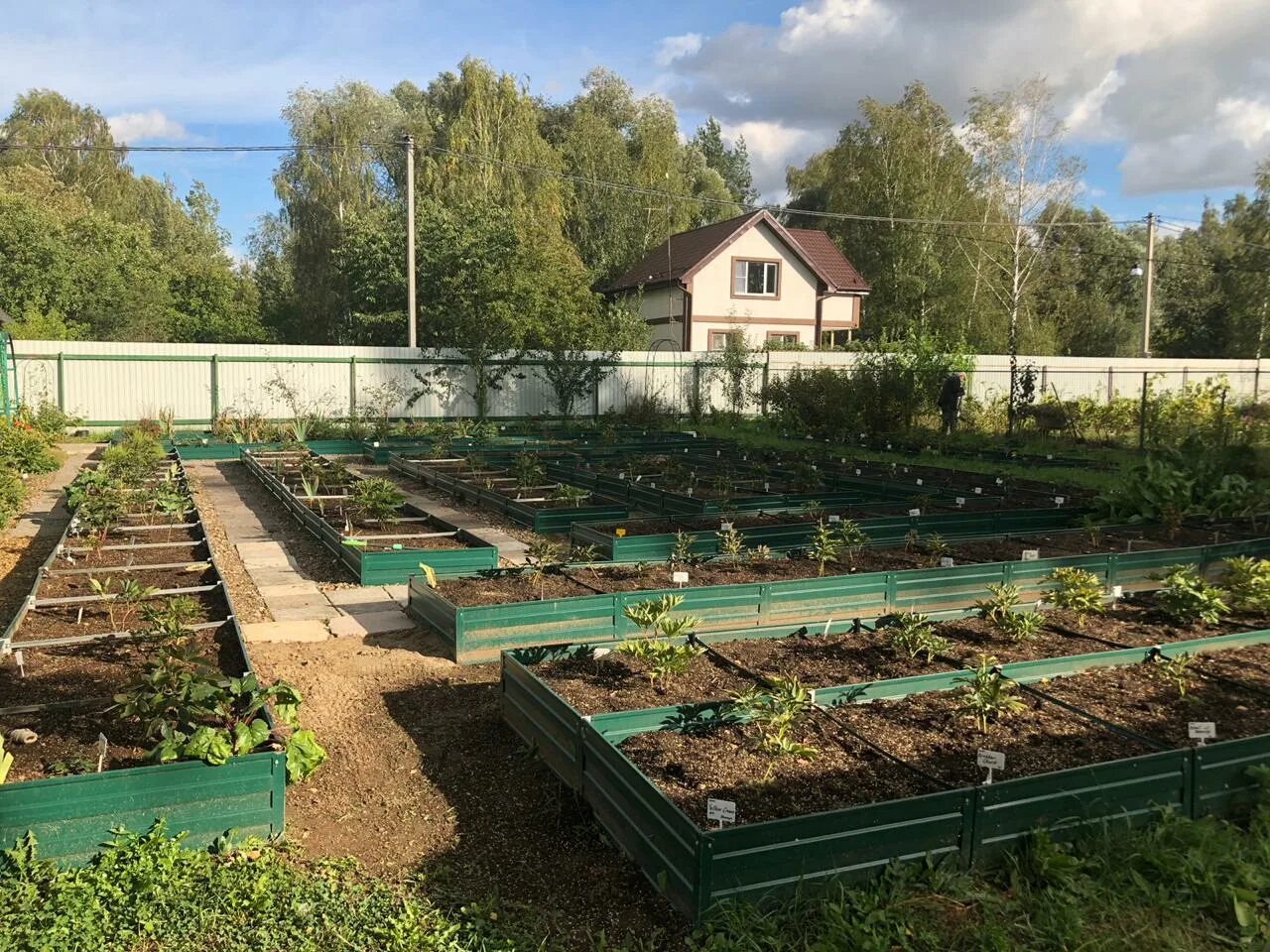 Грядки металлические с полимерным купить. Завод Гарант грядки. Металлические грядки. Грядки оцинкованные. Грядка оцинкованная полимерная.