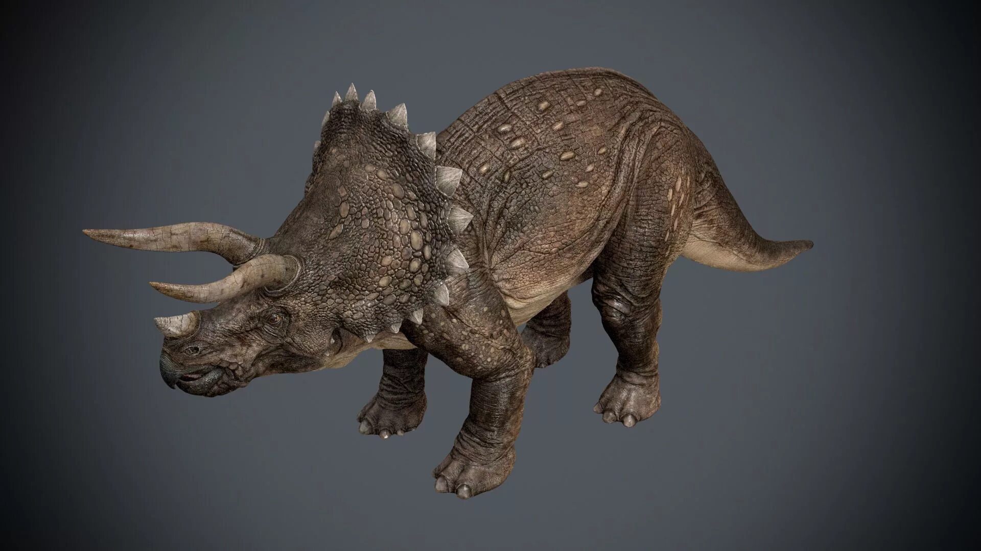Цератопсы. Динозавр Трицератопс. Трицератопс 3д. Динозавры Трицератопс 3д. Цератопсы Юрского периода.