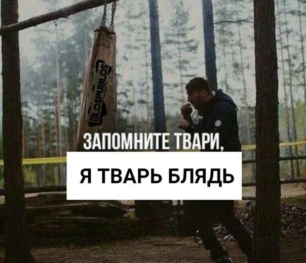 Забыть сук