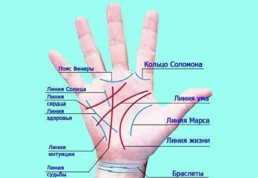 Как выглядит линии на руке Ответы : на какой руке расположена линия жизни если человек левша, что-т