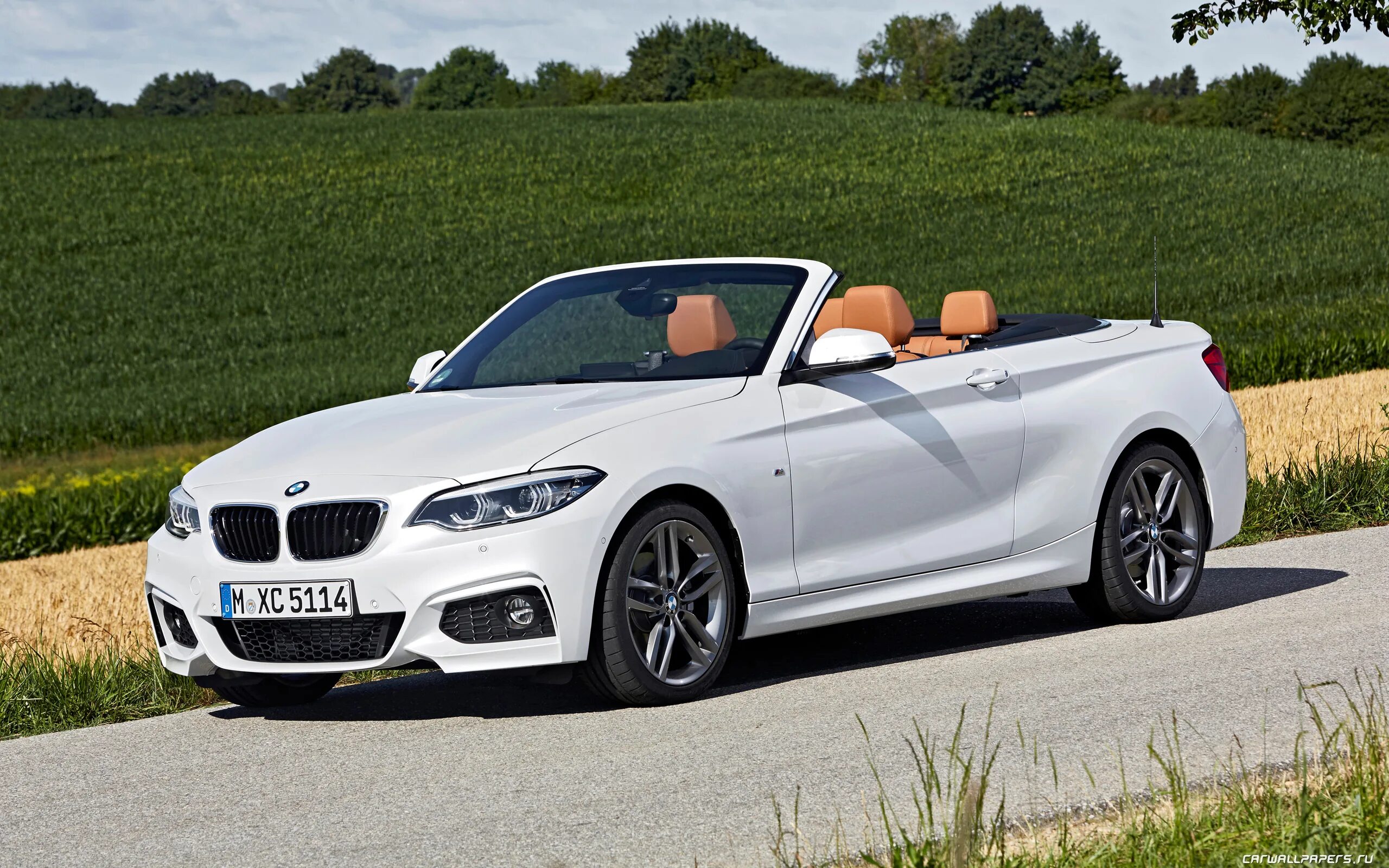 BMW 2 Cabrio. BMW m2 кабриолет. BMW 230i 2020. BMW 2 2017.