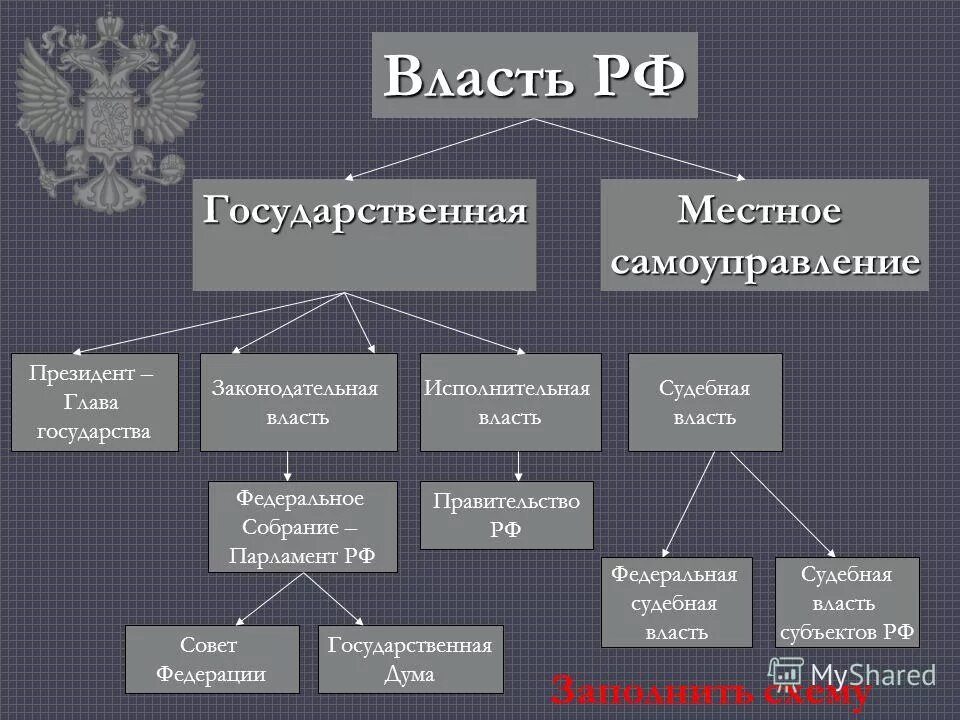 Парламент рф ветвь власти