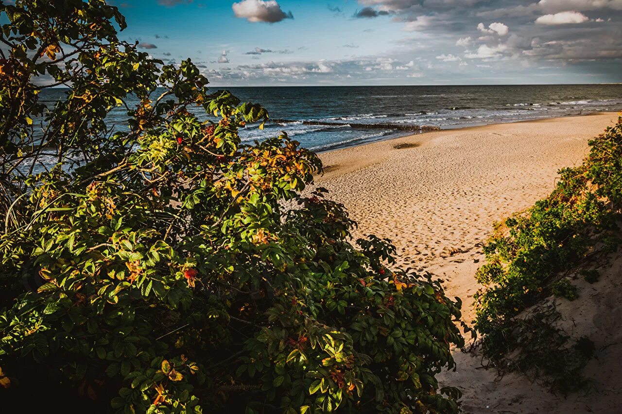 Зеленоградск крымская