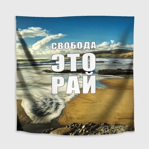 Свободно д