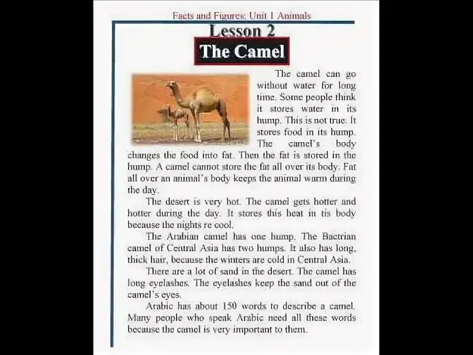 The camel was very thirsty. Camel facts Unit 1. Unit1. Camels. This is Camel. Facts and Figures the Camel b Vocabulary. Facts and Figures Unit 2.