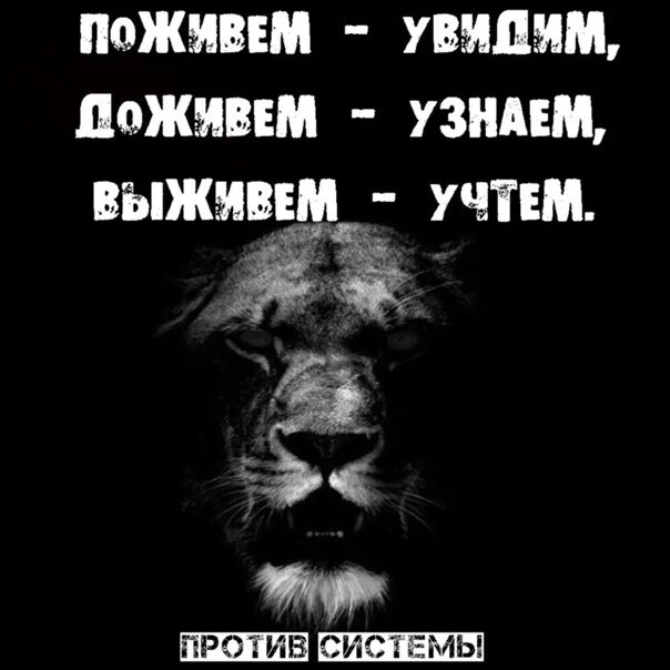 Пословица поживем увидим. Поживу увижу доживу узнаю выживу учту. Поживём увидим Доживём узнаем. Поговорка поживем увидим Доживем узнаем. Поживём увидим Доживём узнаем выживем.