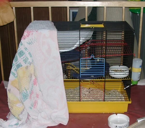 оборудованная клетка для крыс. накидка для клетки попугая. покрывало для клетки попугая. клетка для кошек. птица из клетки.